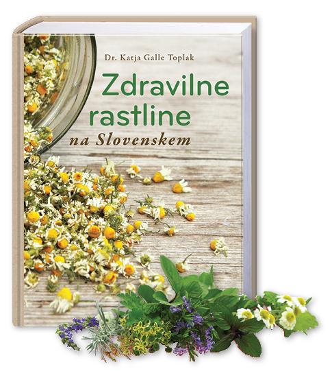 Naslovnica knjige Zdravilne rastline na slovenskem